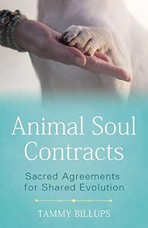 animal soul contracts sacred agreements for shared evolution 1st edition tammy billups 1591433649,