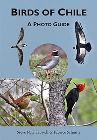 birds of chile a photo guide 1st edition steve n g howell ,fabrice schmitt 0691167397, 978-0691167398