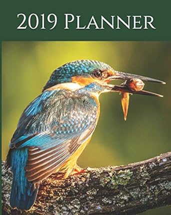 2019 planner weekly planner and monthly calendar diary journal nature wildlife birds kingfisher 8x10 1st
