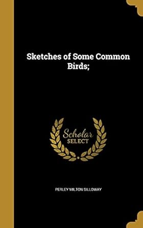 sketches of some common birds 1st edition perley milton silloway 1371730687, 978-1371730680