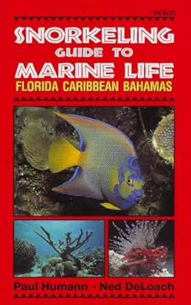snorkeling guide to marine life florida caribbean bahamas 1st edition paul humann ,ned deloach 1878348108,