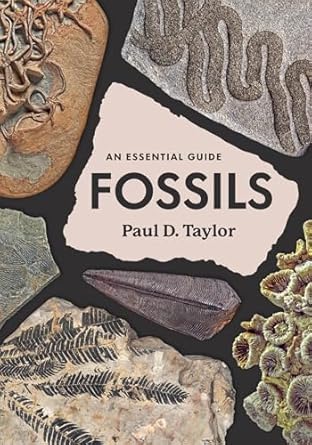 fossils an essential guide 1st edition paul d taylor 0226839397, 978-0226839394