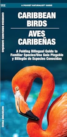 caribbean birds/aves caribenas 2nd ed a folding pocket guide to familiar species/una guia plegable portatil