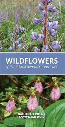 wildflowers of the indiana dunes national park 1st edition nathanael pilla ,scott namestnik 0253060419,