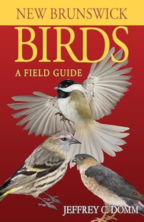 new brunswick birds a field guide 1st edition jeffrey c domm 1459507797, 978-1459507791