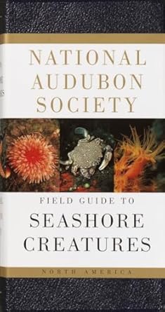 national audubon society field guide to seashore creatures north america 1st edition norman a meinkoth