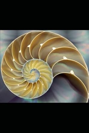 spiritual symbols with their meanings 1st edition natasa nuit pantovic 9995754126, 978-9995754129