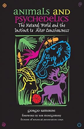 animals and psychedelics the natural world and the instinct to alter consciousness 1st edition giorgio