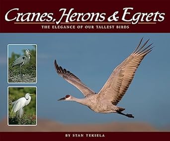 cranes herons and egrets the elegance of our tallest birds 1st edition stan tekiela 1591935849, 978-1591935841