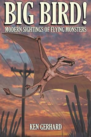 big bird modern sightings of flying monsters 1st edition ken gerhard ,william m rebsamen ,jonathan downes