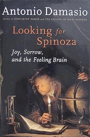 looking for spinoza joy sorrow and the feeling brain 1st edition antonio r damasio 0151005575, 978-0151005574
