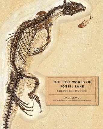 the lost world of fossil lake snapshots from deep time 1st edition lance grande 0226922960, 978-0226922966