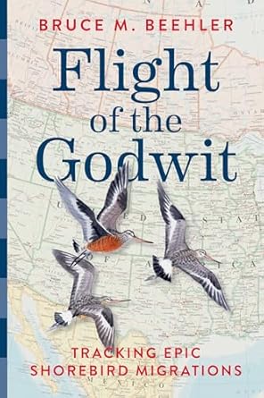flight of the godwit tracking epic shorebird migrations 1st edition bruce m beehler ,alan t messer