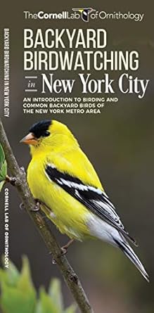 backyard birdwatching in new york city an introduction to birding and common backyard birds of the new york