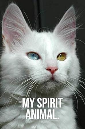 my spirit animal odd eyed turkish angora cat journal 1st edition golding notebooks 1797845004, 978-1797845005