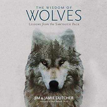 the wisdom of wolves lessons from the sawtooth pack 1st edition jim dutcher ,jamie dutcher ,traber burns