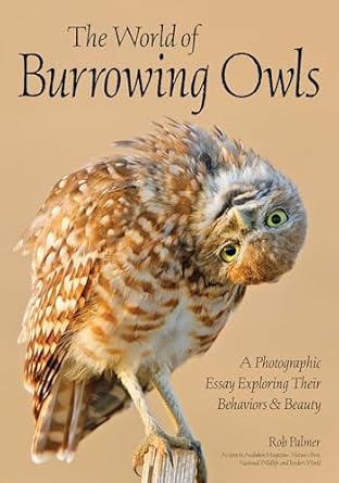 the world of burrowing owls a photographic essay exploring their behaviors and beauty 1st edition rob palmer