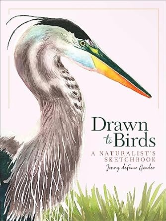 drawn to birds a naturalists sketchbook 1st edition jenny defouw geuder 1647552257, 978-1647552251