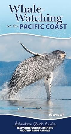 whale watching on the pacific coast easily identify whales dolphins and other marine mammals 1st edition stan