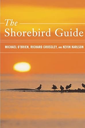 the shorebird guide 1st edition michael o'brien ,richard crossley ,kevin t karlson 0618432949, 978-0618432943