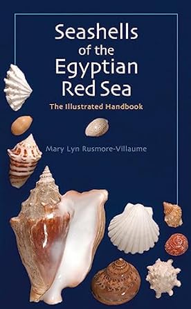 seashells of the egyptian red sea the illustrated handbook 1st edition mary lyn rusmore villaume 9774160967,