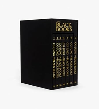 the black books 1st edition c g jung ,sonu shamdasani ,martin liebscher ,john peck 0393088642, 978-0393088649