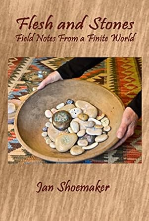 flesh and stones field notes from a finite world 1st edition jan shoemaker 0933087071, 978-0933087071