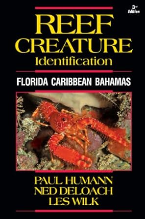 reef creature identification florida caribbean bahamas 1st edition paul humann ,ned deloach ,les wilk