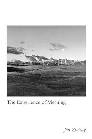 the experience of meaning 1st edition jan zwicky 0773557431, 978-0773557437