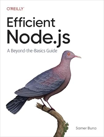 efficient node js a beyond the basics guide 1st edition samer buna 1098145194, 978-1098145194