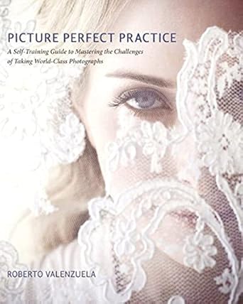 picture perfect practice a self training guide to mastering the challenges of taking world class photographs