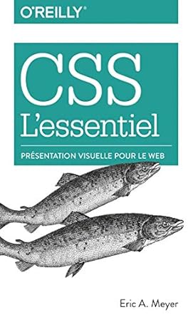 css lessentiel presentation visuelle pour le web 1st edition eric a meyer 2412043078, 978-2412043073