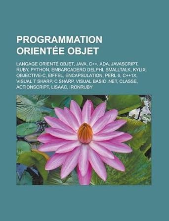 programmation orientee objet langage oriente objet java c++ ada javascript ruby python embarcadero delphi