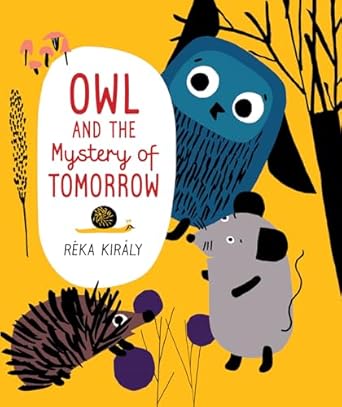 owl and the mystery of tomorrow 1st edition reka kiraly ,mia spangenberg 1459837460, 978-1459837461