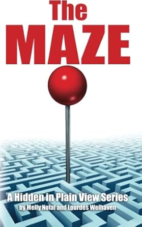 the maze the password organizer log that looks like a regular book 1st edition lourdes welhaven ,melly nofal