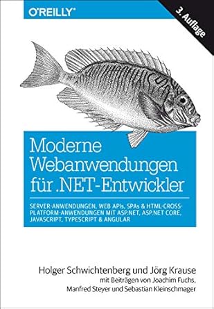 moderne webanwendungen fur net entwickler server anwendungen web apis spas and html cross platform