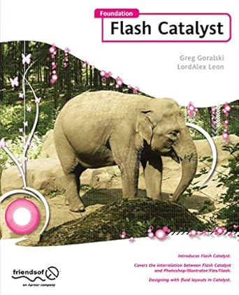 foundation flash catalyst 1st edition greg goralski ,lordalex leon 1430228628, 978-1430228622