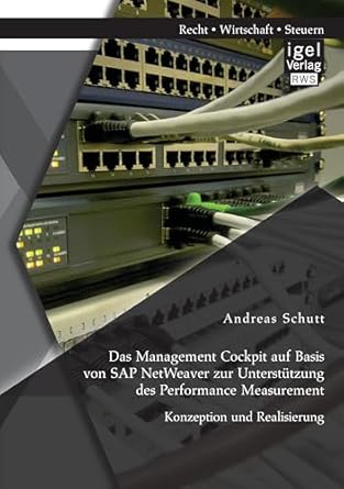 das management cockpit auf basis von sap netweaver zur unterstutzung des performance measurement konzeption