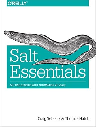 salt essentials getting started with automation at scale 1st edition craig sebenik ,thomas hatch 1491900636,