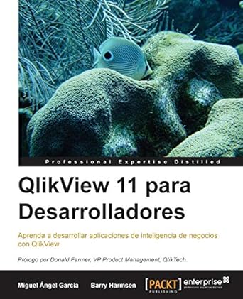 qlikview 11 para desarrolladores 1st edition miguel angel garcia ,barry harmsen 1782174230, 978-1782174233