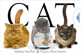 cat 1st edition matthew van fleet ,brian stanton 1416978003, 978-1416978008