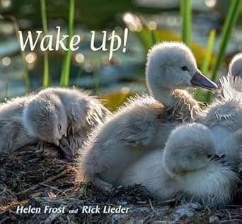 wake up 1st edition rick lieder ,helen frost 0763681490, 978-0763681494