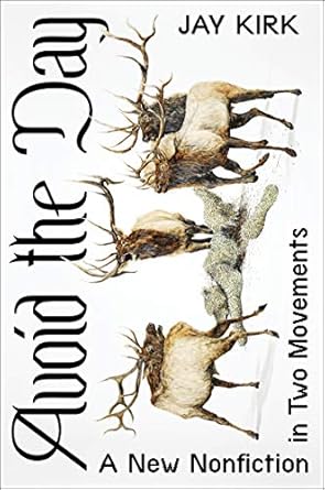 avoid day 1st edition jay kirk 0062356178, 978-0062356178