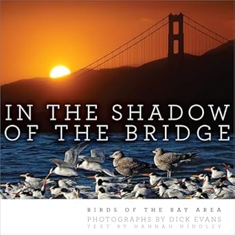 in the shadow of the bridge birds of the bay area 1st edition dick evans ,mary ellen hannibal ,hannah hindley