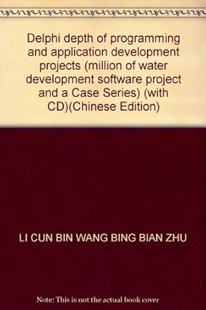 delphi depth of programming and application development projects 1st edition li cun bin wang bing bian zhu