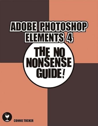 getting started with adobe photoshop elements 1st edition michelle perkins 1584281642, 978-1584281641