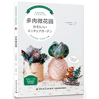 chinese version of maya 2015 technology daquan 1st edition shi dai yin xiang zhu 7115406545, 978-7115406545