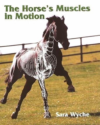 the horses muscles in motion 1st edition sara wyche 1861264569, 978-1861264565