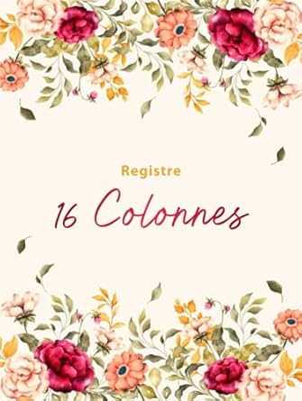 registre 16 colonnes livre comptable 16 colonnes pour le suivi quotidien et mensuel des revenus et des