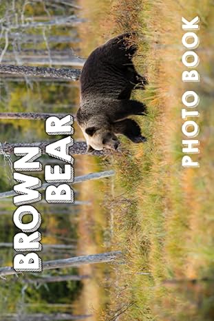 brown bear photo book cute creature colorful pages for all ages relaxation and stress relief ideal gift for